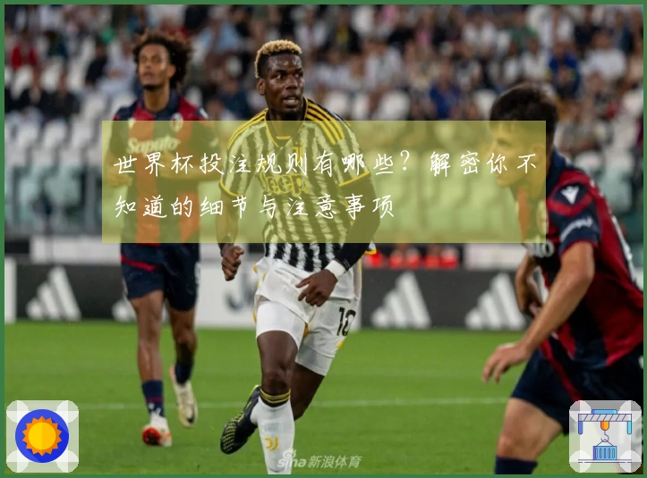 世界杯投注规则有哪些？解密你不知道的细节与注意事项