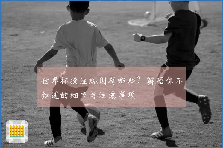 世界杯投注规则有哪些？解密你不知道的细节与注意事项