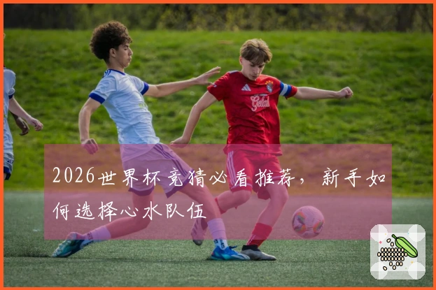 2026世界杯竞猜必看推荐，新手如何选择心水队伍