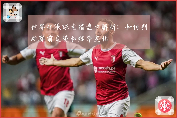 世界杯滚球竞猜盘口解析：如何判断赛前走势和赔率变化