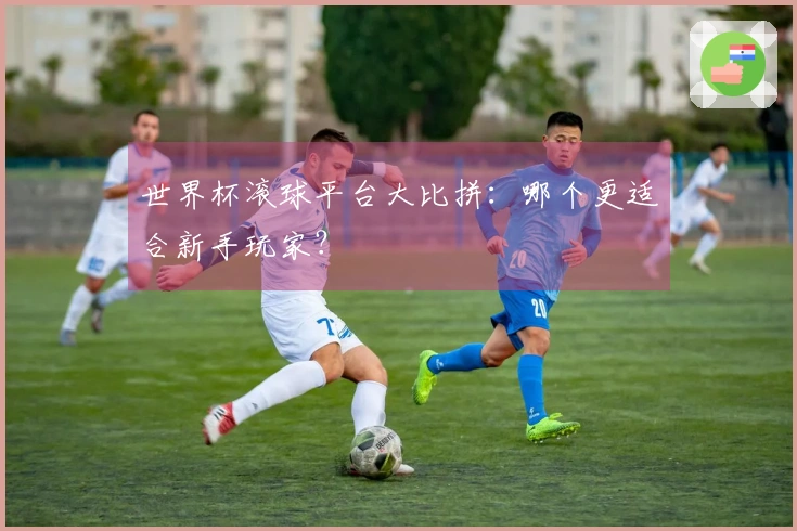 世界杯滚球平台大比拼：哪个更适合新手玩家？